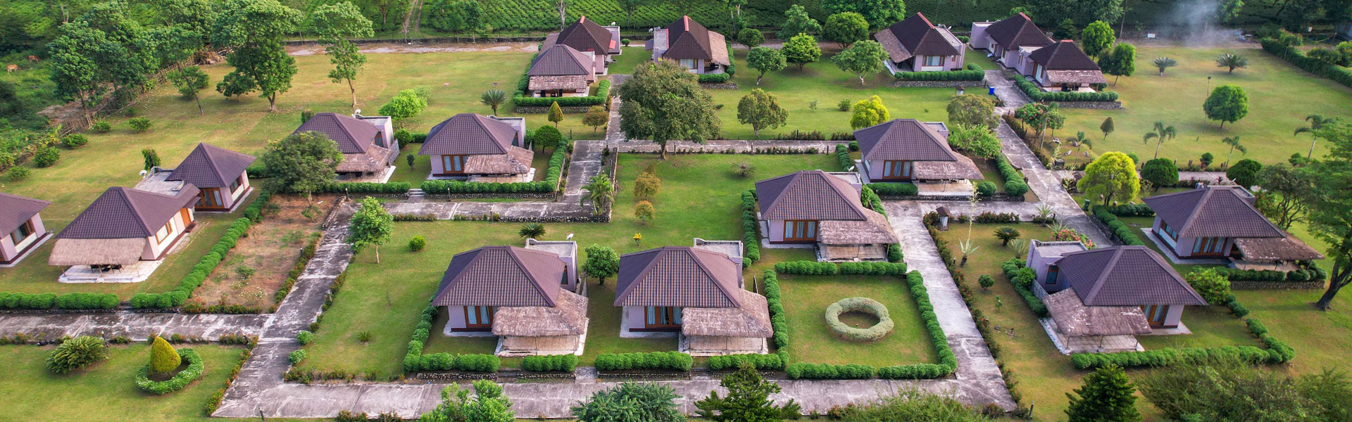 Musa Jungle Retreat